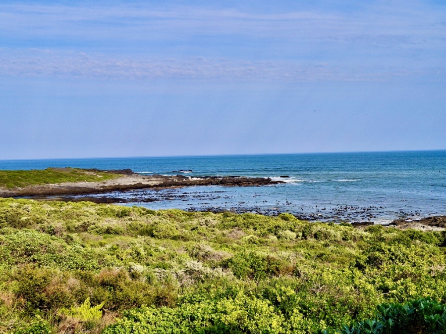 0 Bedroom Property for Sale in Grotto Bay Western Cape